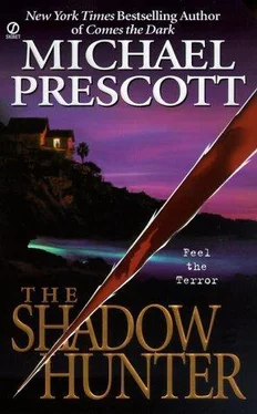 MIchael Prescott The Shadow hunter обложка книги