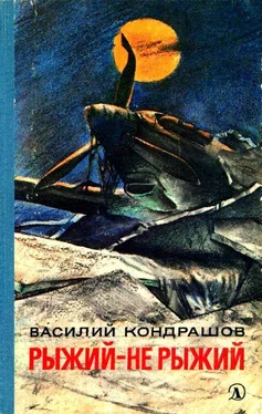 Василий Кондрашов Рыжий - не рыжий обложка книги