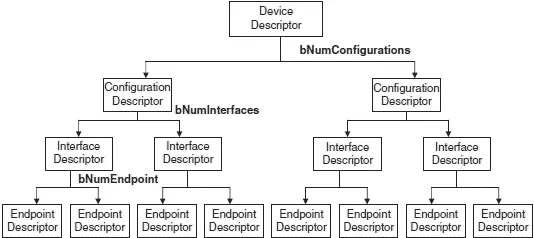 Figure 87 USB descriptor hierarchy All descriptors have a common format The - фото 259