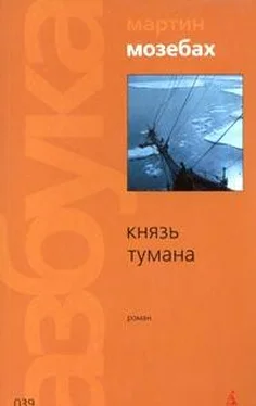 Мартин Мозебах Князь тумана обложка книги