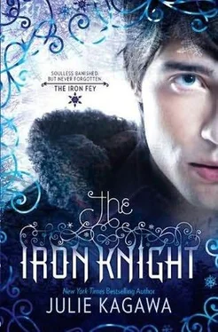 Julie Kagawa The Iron Knight обложка книги