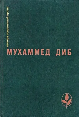 Мухаммед Диб Повелитель охоты обложка книги