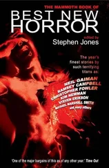 Stephen Jones - The Mammoth Book of Best New Horror. Volume 19
