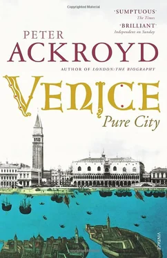 Peter Ackroyd Venice: Pure City обложка книги