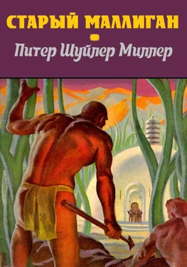 Питер Миллер Старый Маллиган [компиляция] обложка книги