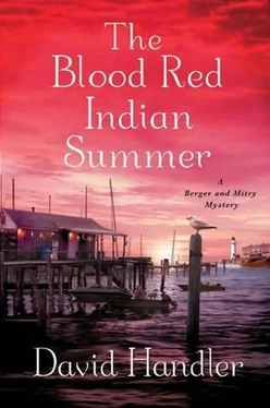 David Handler The Blood Red Indian Summer обложка книги