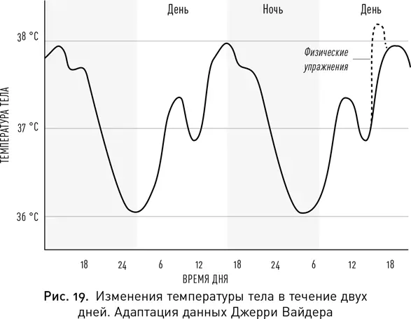 Невнимательность вовсе не обязательно предполагает многочасовое сидение у окна - фото 27