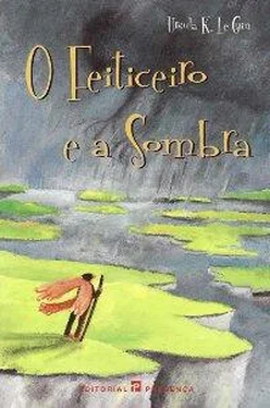 Ursula Le Guin O Feiticeiro e a Sombra обложка книги