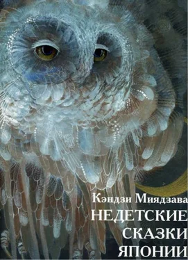 Кэндзи Миядзава Недетские сказки Японии обложка книги