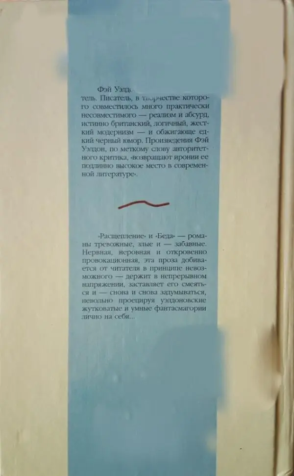 Фэй Уэлдон английский писатель Писатель в творчестве которого совместилось - фото 2