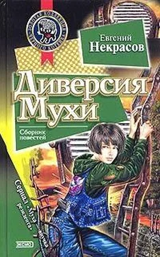 Евгений Некрасов Диверсия Мухи обложка книги