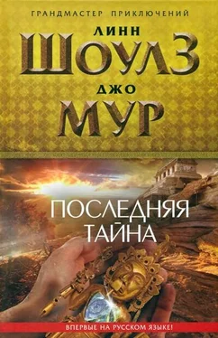 Линн Шоулз Последняя тайна обложка книги