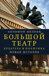 Соломон Волков - Большой театр. Культура и политика. Новая история