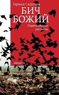 Герман Садулаев Бич Божий: Партизанские рассказы обложка книги