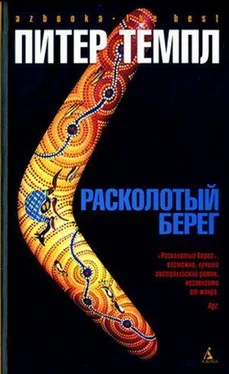 Питер Темпл Расколотый берег обложка книги