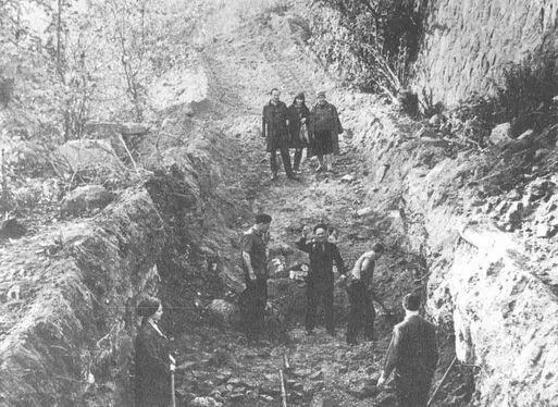 Большой раскоп на месте Королевского замка Находки сделанные на месте - фото 25