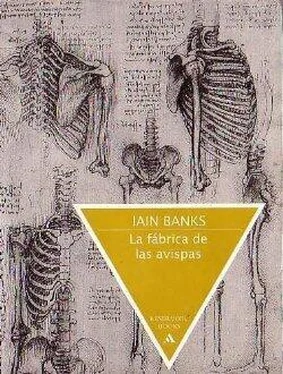 Iain Banks La fábrica de avispas обложка книги