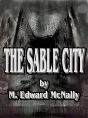 M McNally - The Sable City