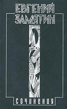 Евгений Замятин Том 2. Русь обложка книги