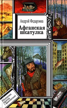 Андрей Федоренко Афганская шкатулка обложка книги