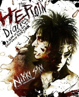 Nikki Sixx The Heroin Diaries. A Year in the Life of a Shattered Rockstar. обложка книги