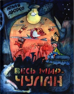 Аглая Дюрсо Весь мир - чулан обложка книги