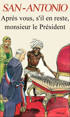 Frédéric Dard Après vous, s'il en reste, monsieur le Président обложка книги