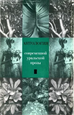 Владимир Соколовский Антология современной уральской прозы обложка книги