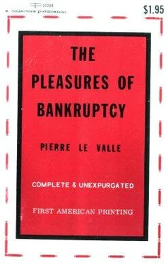 Pierre le Valle The Pleasures of Bankruptcy обложка книги