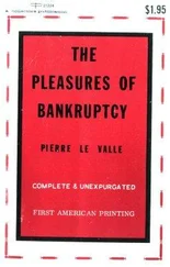 Pierre le Valle - The Pleasures of Bankruptcy