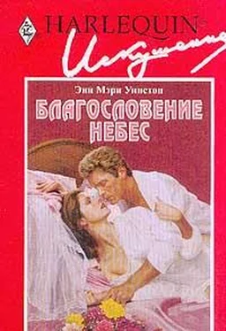 Энн Уинстон Благословение небес обложка книги