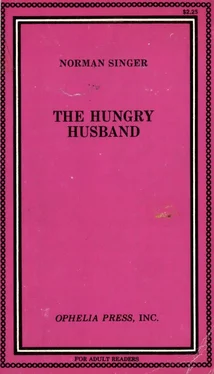 Norman Singer The Hungry Husband