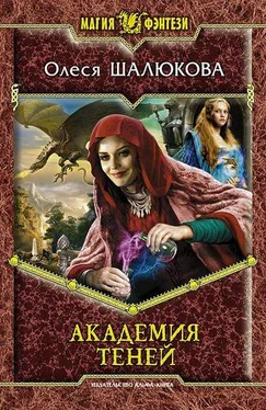 Олеся Шалюкова Академия теней обложка книги