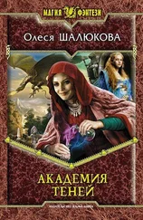 Олеся Шалюкова - Академия теней