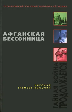 Николай Еремеев-Высочин Афганская бессонница обложка книги