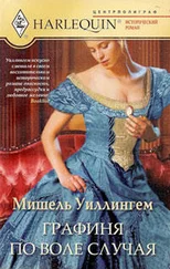 Мишель Умллингем - Графиня по воле случая