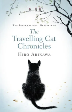 Hiro Arikawa The Travelling Cat Chronicles обложка книги