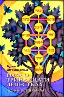 Адин Штайнзальц Роза о тринадцати лепестках обложка книги