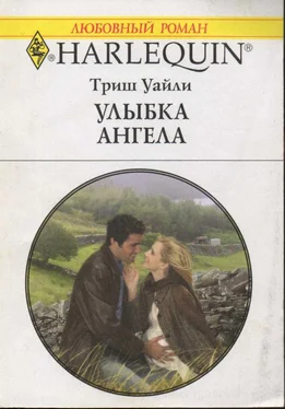 Триш Уайли Улыбка ангела обложка книги