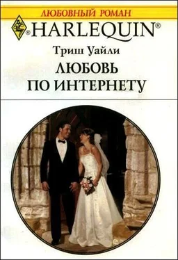 Триш Уайли Любовь по интернету обложка книги