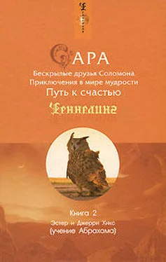 Эстер Хикс Сара. Книга 2. Бескрылые друзья Соломона обложка книги