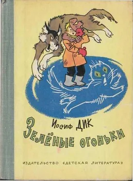 Иосиф Дик Зелёные огоньки обложка книги