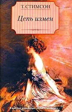 Тесс Стимсон Цепь измен обложка книги