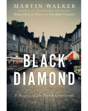 Martin Walker Black Diamond обложка книги