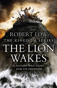 Robert Low The Lion Wakes обложка книги