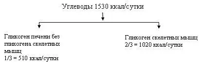 Рис 1 Распределение энергии поступающей в организм В использовании - фото 1