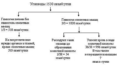 Рис 2 Распределение энергии в организме невегетарианца В этой схеме суточный - фото 2