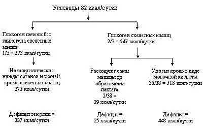 Рис 3 Распределение энергии в организме вегетарианца Общий суточный дефицит - фото 3