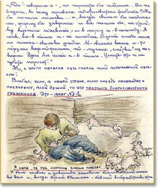 Однажды я случайно наблюдала поразительную картину Легла я както спать прямо - фото 8