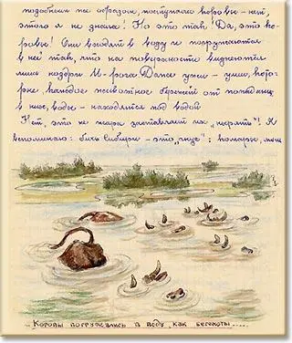 Нет это не жара заставляет их нырять Я вспоминаю бичь Сибири это гнус - фото 9